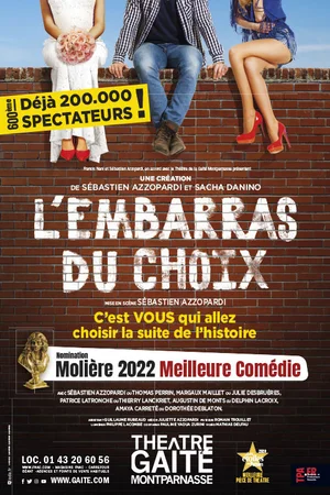 Embarras Du Choix Gaite Affiche